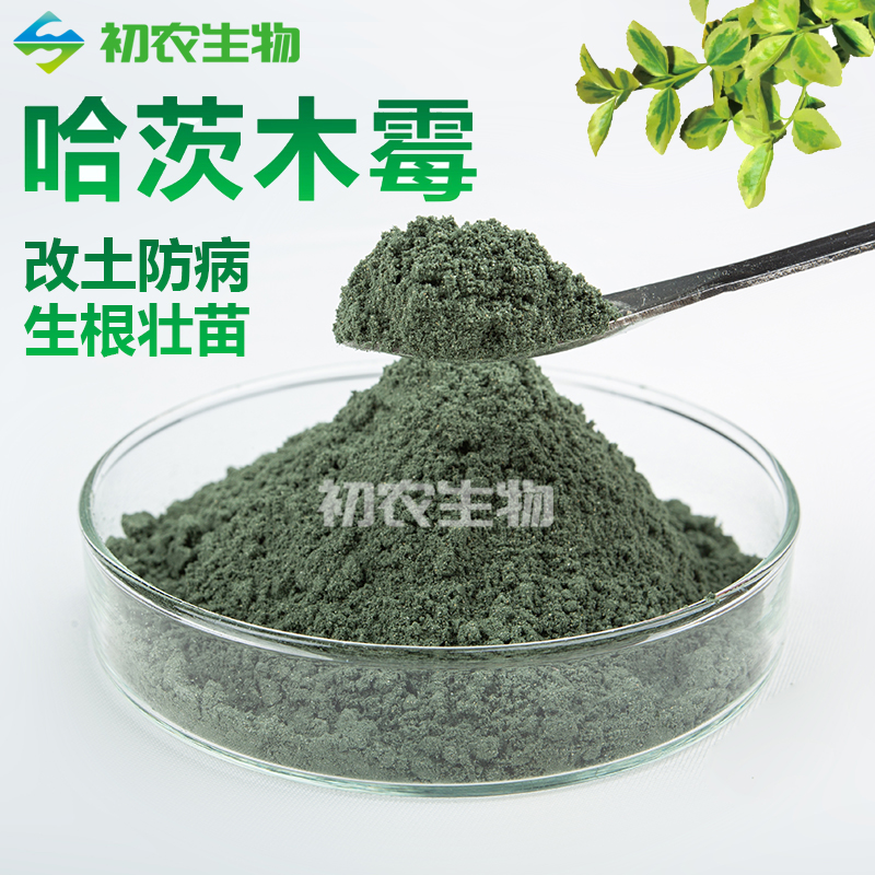 哈茨木霉（木霉類）