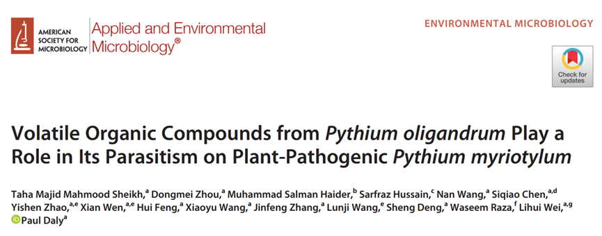 寡雄腐霉揮發(fā)性有機物協(xié)助其寄生植物病原菌