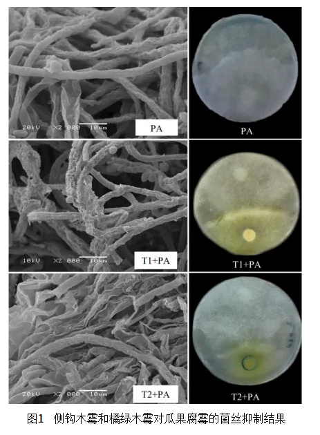 1744768616195381.png image.png