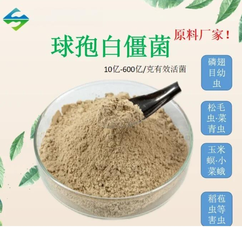 古法農(nóng)作體系升級實踐：微生物技術(shù)助力農(nóng)業(yè)文化遺產(chǎn)地生態(tài)轉(zhuǎn)型